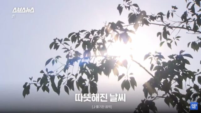 우울한 사람들에게 의외로 “봄” 이라는 계절이 힘들었던 이유