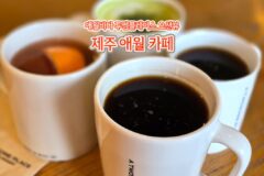 제주도 여행 애월 바다 투썸플레이스 제주 애월 카페
