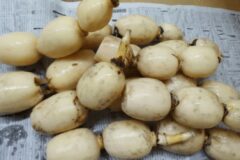 계란보다 좋다..”아침식사로 먹으면 치매예방 1등 공신인 음식” 꼭 드세요.
