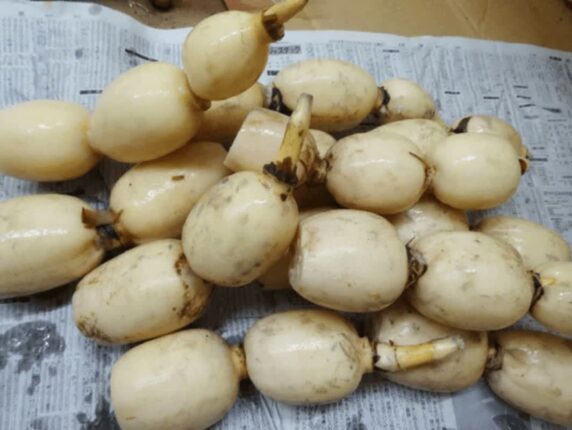계란보다 좋다..”아침식사로 먹으면 치매예방 1등 공신인 음식” 꼭 드세요.