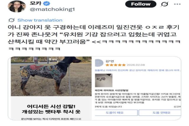 어딜가든 시선강탈하는 이레즈미 강아지옷.x