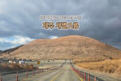 국내 여행 필수 제주도 오름 추천 제주 새별 오름