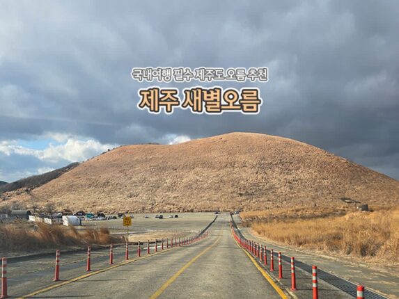 국내 여행 필수 제주도 오름 추천 제주 새별 오름