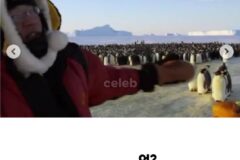 펭귄 다큐멘터리가 찍기 어려운 이유