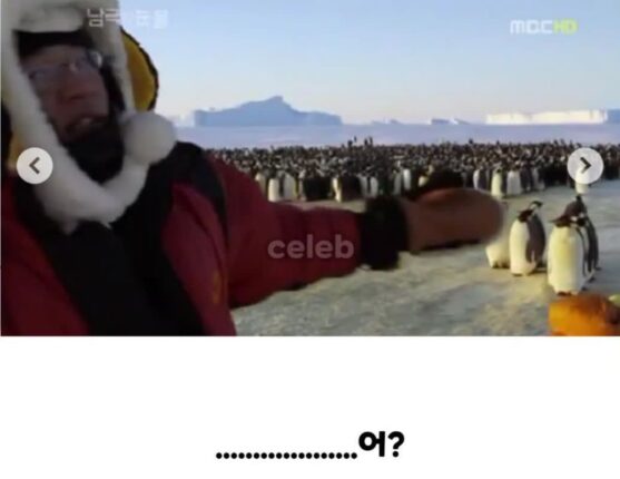 펭귄 다큐멘터리가 찍기 어려운 이유