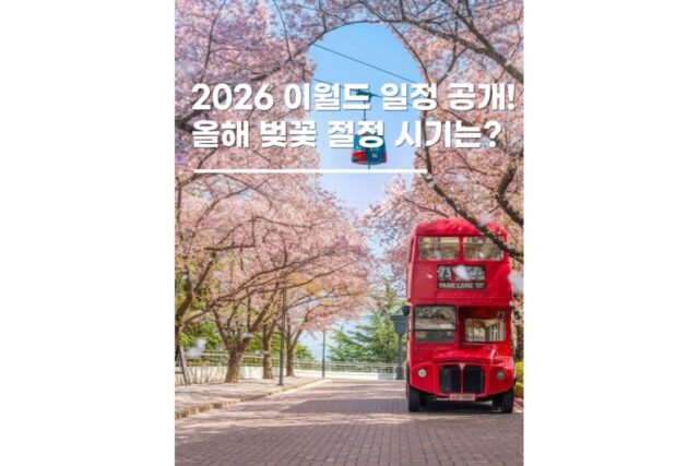 2026 대구 이월드 벚꽃 개화시기 봄꽃 축제 총정리