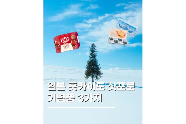 삿포로 쇼핑리스트 기념품 일본 훗카이도 특산 3가지