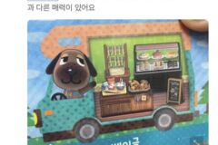 동숲 아미보 리뷰 웃긴거 모음..