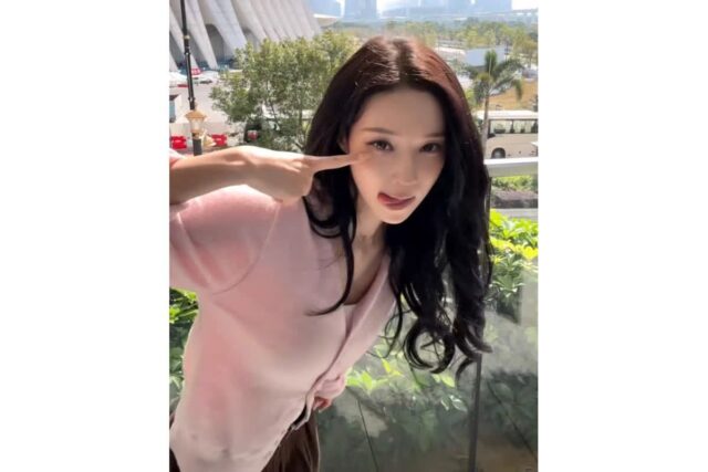 (의외로 연예인 단골?) 윈터로 검증된 가디건 맛집 브랜드