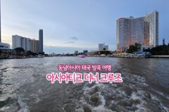 동남아시아 태국 방콕 여행 아시아 티크 디너 크루즈