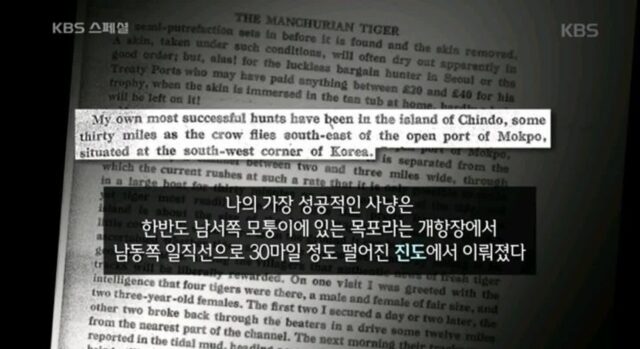 조선시대 때 호랑이 피해가 컸던 지역