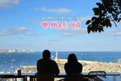 제주 여행 추천 조용한 제주시 카페 에이바우트 하귀