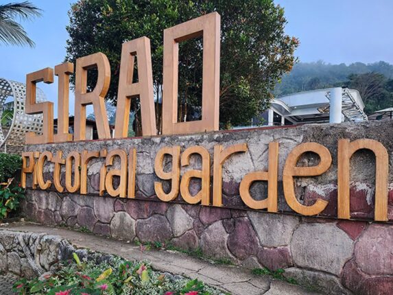필리핀 세부 시티투어 | 시라오 가든 – Sirao Garden