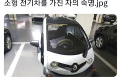 소형 전기차를 가진 자의 숙명.jpg (질문사절)