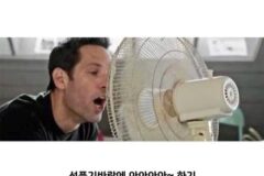 사람 사는 거 다 똑같음