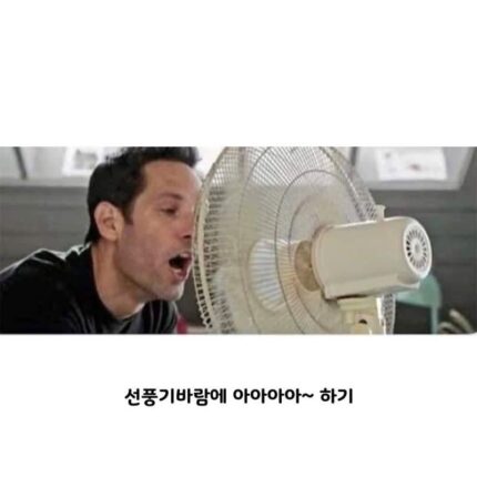 사람 사는 거 다 똑같음