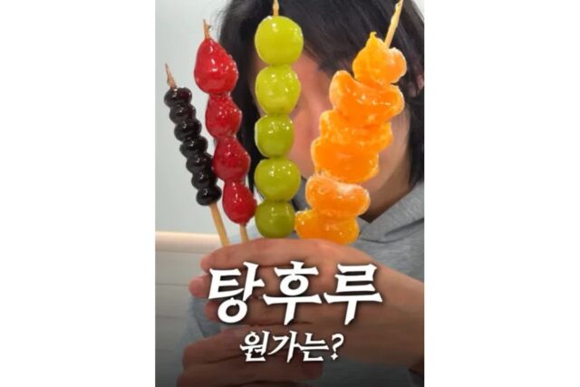 탕후루의 재료 원가는 얼마일까? 알아보자