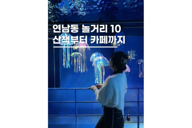 연남동 놀거리 소품샵 서울 뚜벅이 나들이 가볼만한곳 10