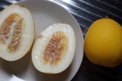 “해외에선 천연 해독제라 불리는데” 한국에선 그냥 흔한 껍질인 줄 알고 버려지는 재료