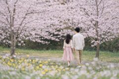 제주신라호텔, 봄꽃 투어·칵테일 선보여…‘제주의 봄’ 오감으로 즐긴다