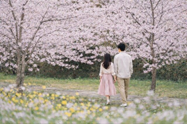 제주신라호텔, 봄꽃 투어·칵테일 선보여…‘제주의 봄’ 오감으로 즐긴다