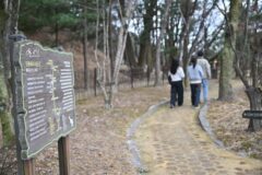 영주시, ‘왕과 사는 남자’ 흥행 타고 역사문화관광코스 적극 홍보
