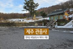 제주 관음사 한라산 국립공원 內 제주도 사찰