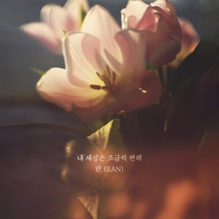 란, 신곡 ‘내 세상은 조금씩 변해’ 발매…사랑의 설렘 담은 발라드