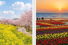 4월 국내 여행지 추천, 봄 기운 가득한 전국 핵심 명소 베스트 4