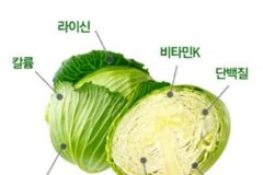 사실 인간이 주신 선물 (feat.science)