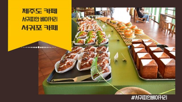 제주도 카페 추천 서귀피안 베이커리 신양섭지해수욕장 인근 서귀포 카페