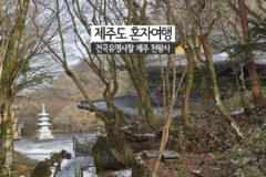 제주도 혼자 여행 전국 유명 사찰 제주 천왕사