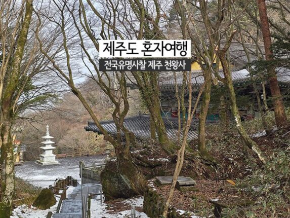 제주도 혼자 여행 전국 유명 사찰 제주 천왕사