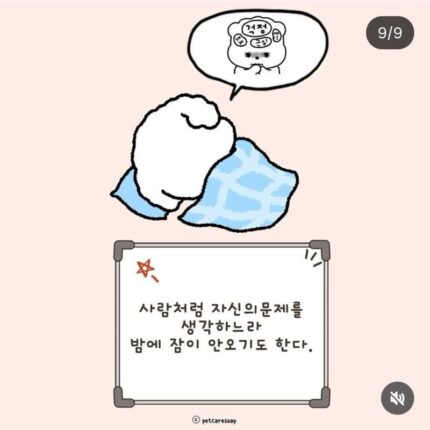 논문으로 밝혀진 반려견 행동들 9가지