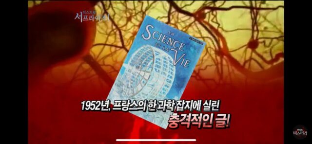 들어가서 살기만 하면 키 크는섬