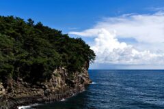 실패 없는 제주 여행 코스, 지금 꼭 가야 할 서귀포 가볼 만한 곳 정리