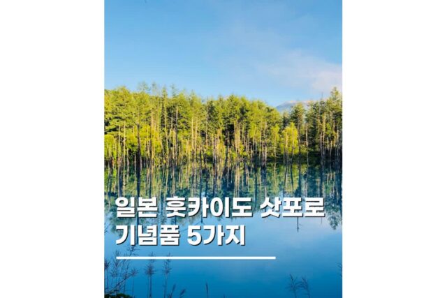 삿포로 훗카이도 기념품 일본 여행 쇼핑리스트 5