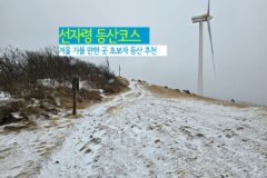 겨울 가볼 만한 곳 초보자 등산 추천 선자령 등산 코스
