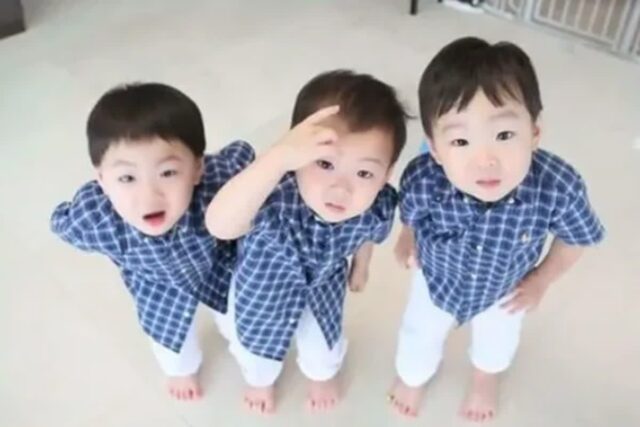 185cm 되었다는 삼둥이 근황