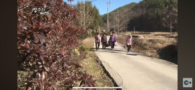 할머니들은 겨울이 오면 합숙을 시작한다👵🏻🏡