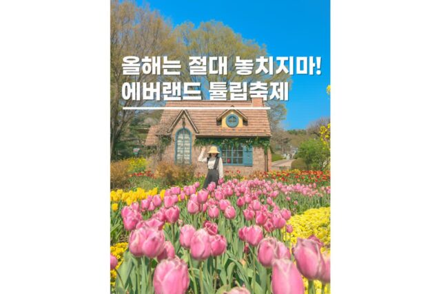 용인에버랜드 튤립축제봄꽃명소 입장권할인 기간 정보