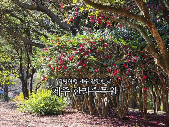 힐링여행 제주 갈만한 곳 | 제주 한라수목원