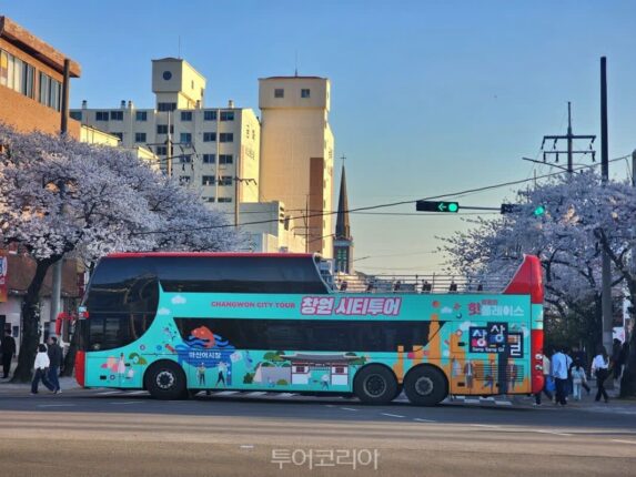 “벚꽃 위를 달린다”…진해군항제, 2층 투어버스 타고 즐기는 ‘색다른 봄’