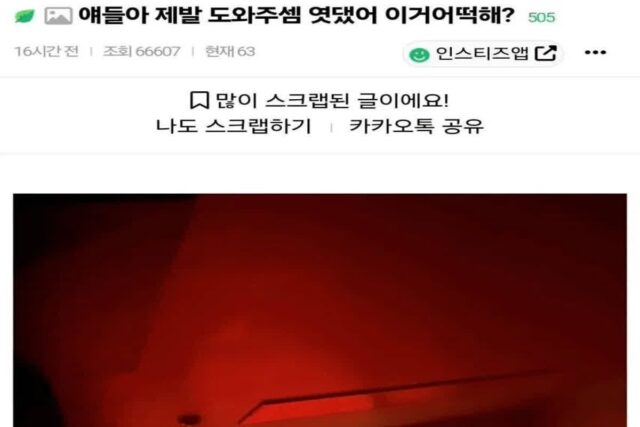 이사왔는데 밤에 보니 난리남.jpg