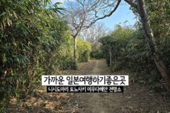 가까운 일본 여행하기 좋은 곳 대마도 자유여행 니시도마리 토노사키 미우다 해안 전망소