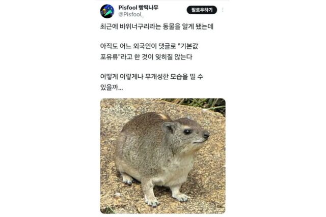가장 평범하게 생긴 걸로 유명한 동물