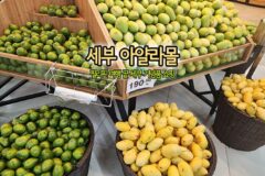 세부 아얄라몰 필리핀 여행 끝 세부 기념품 쇼핑