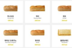 많은 사람들을 배신감에 떨게한 서브웨이 플랫브레드의 진실