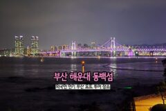 부산 해운대 동백섬 외국인 인기 부산 요트 투어 장소