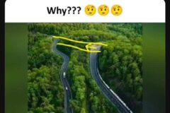 Why?